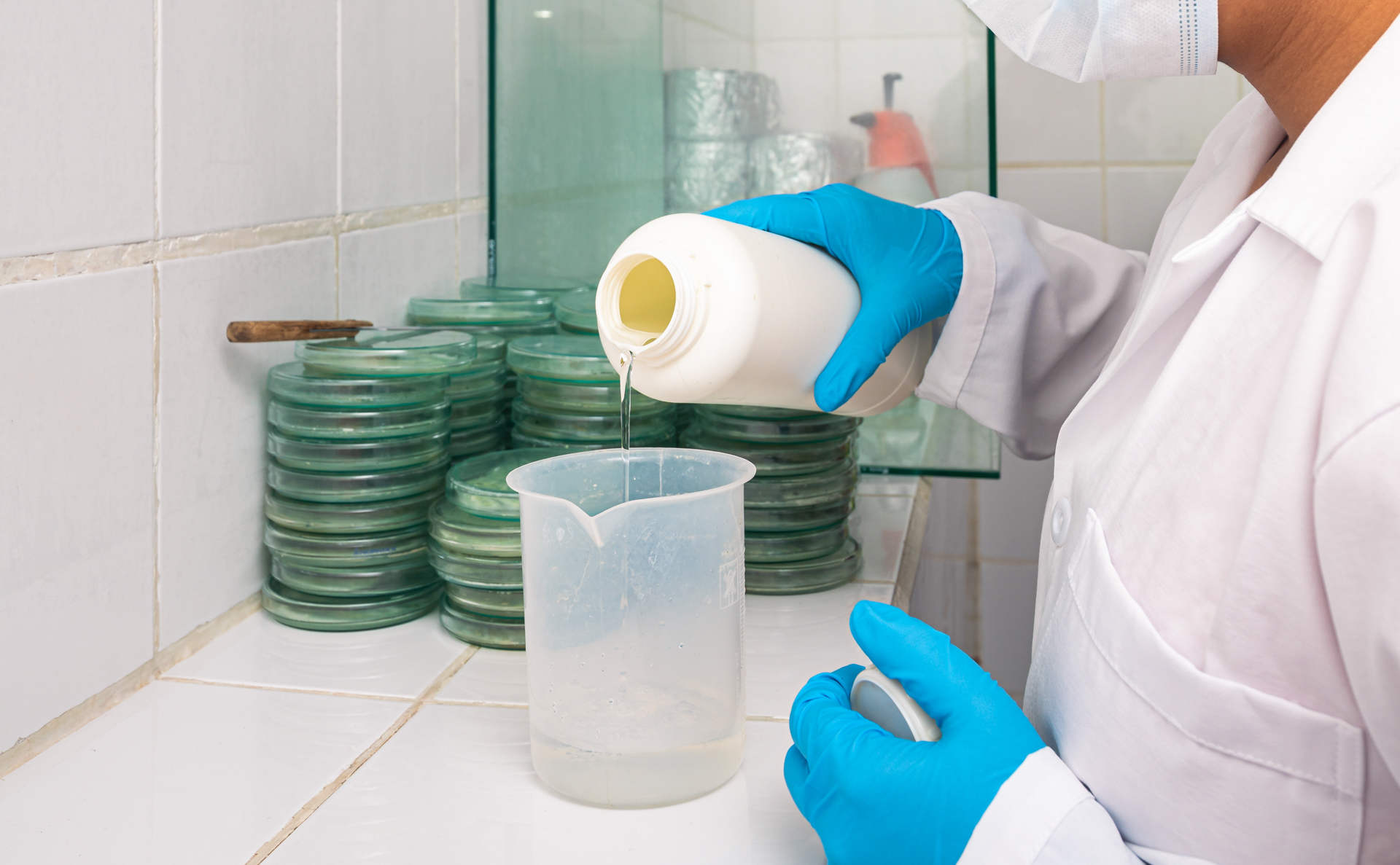 Servicio 1 - Slide 4