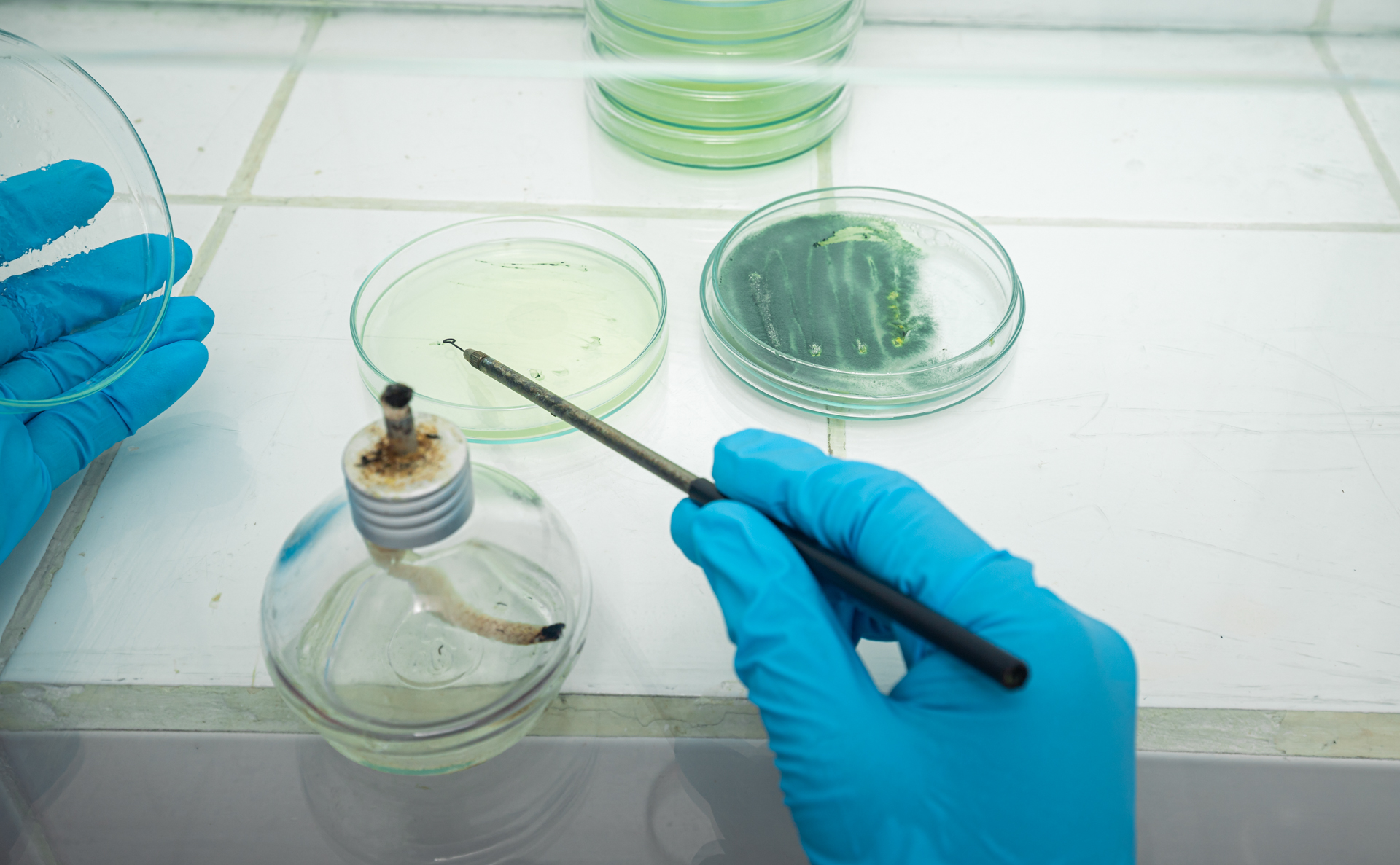 Servicio 1 - Slide 2