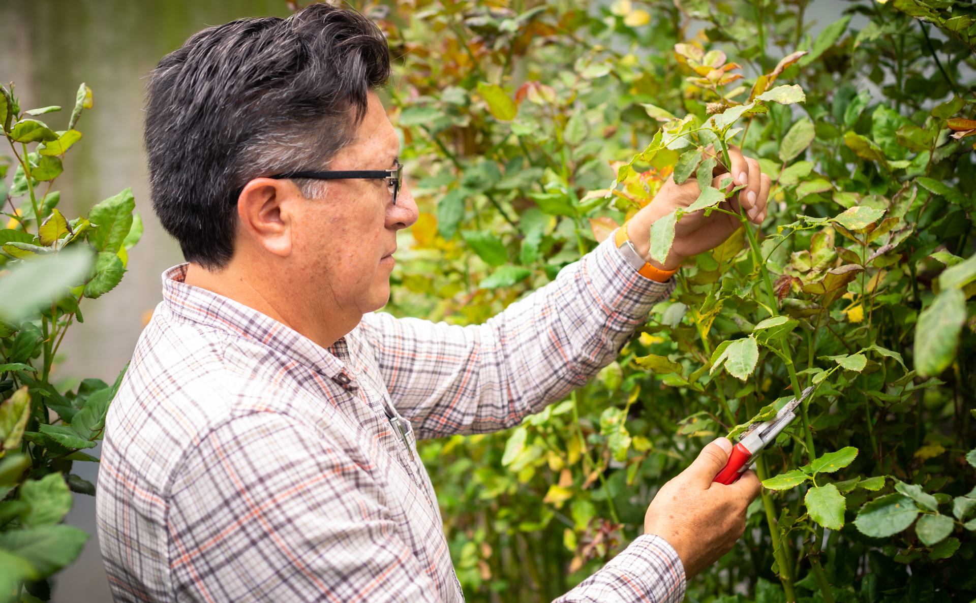 Servicio 1 - Slide 2