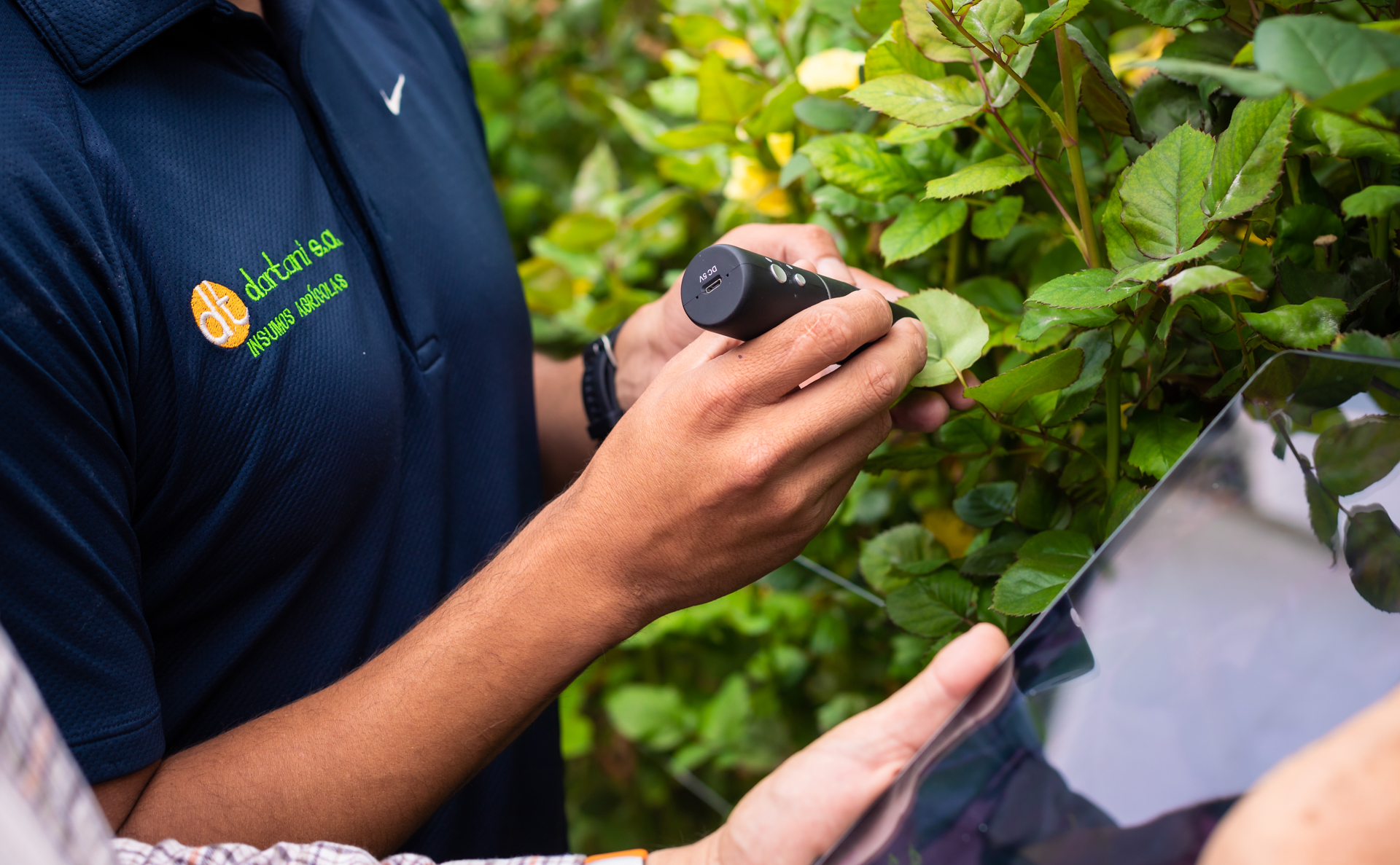 Servicio 1 - Slide 1