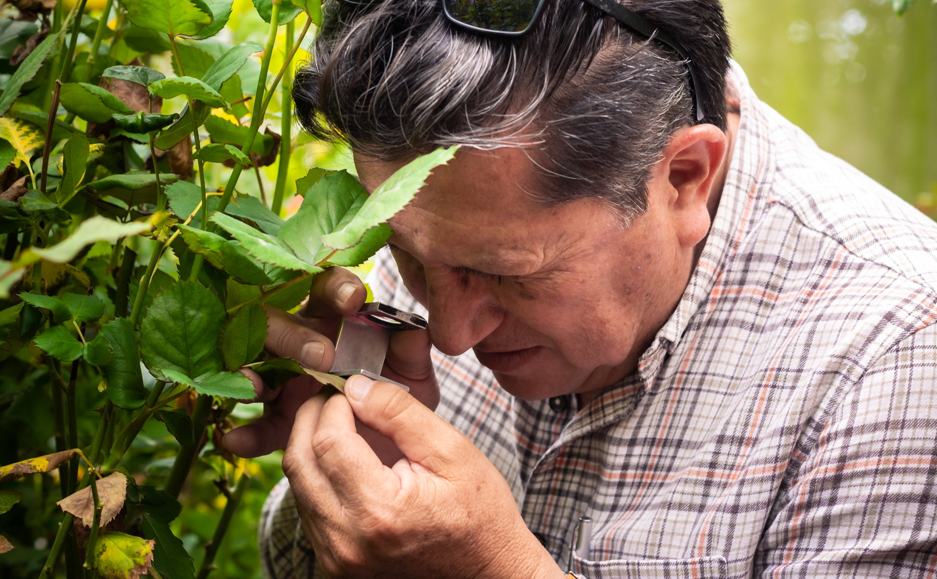 Servicio 1 - Slide 3