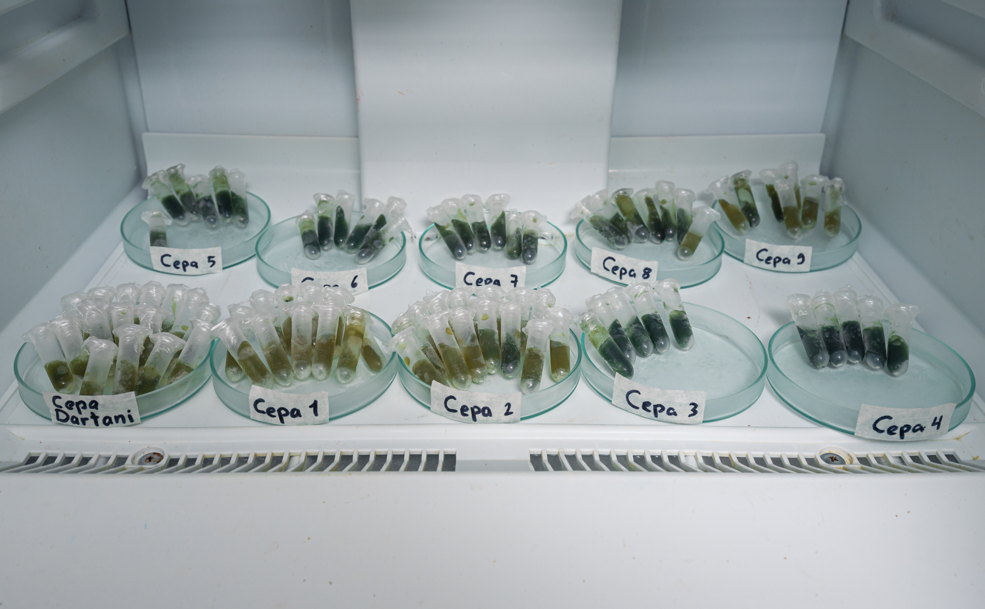 Servicio 1 - Slide 2