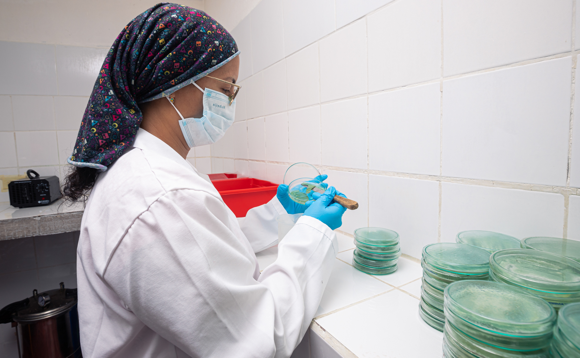 Servicio 1 - Slide 1