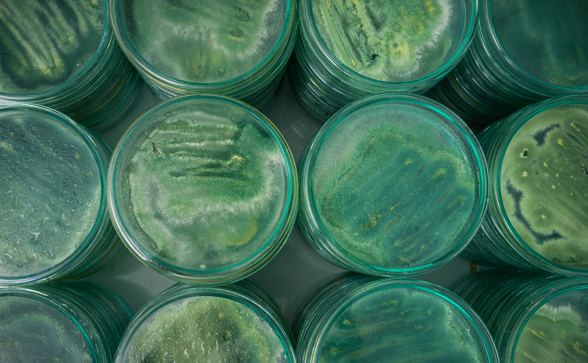 Servicio 1 - Slide 4